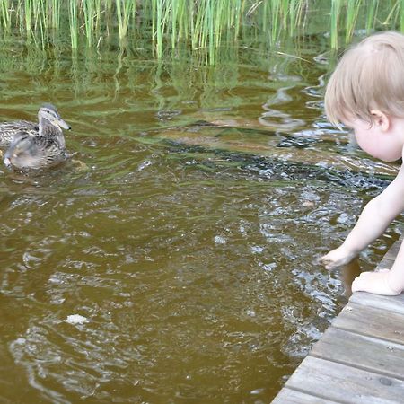 Moekki Etelaeranta Villa Mikkeli Bagian luar foto
