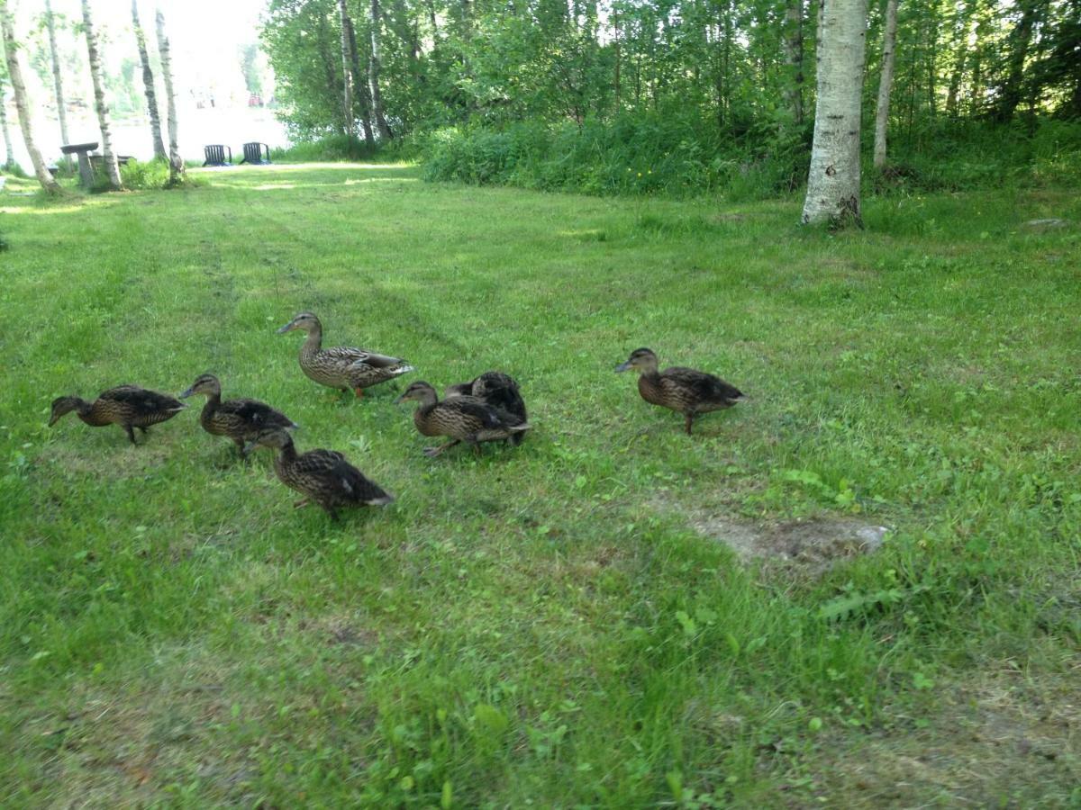 Moekki Etelaeranta Villa Mikkeli Bagian luar foto